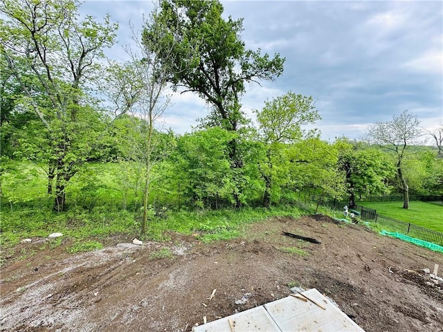 202 E Maple St, Lone Jack, MO 64070 - view of nature