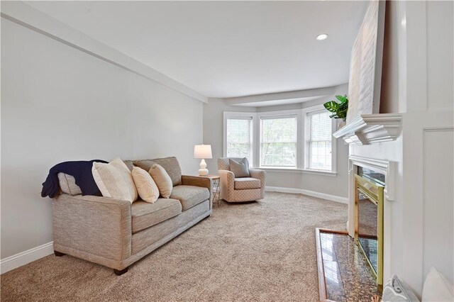7327 Belleview Ave, Kansas City, MO 64114 - photo 19