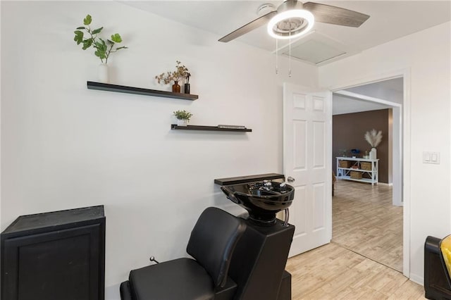 office featuring ceiling fan and light wood-type flooring