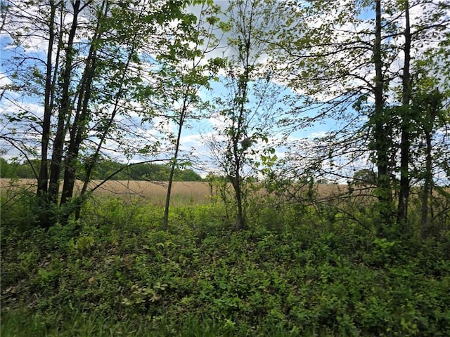 301 SE 611th Rd, Clinton, MO 64735 - photo 40