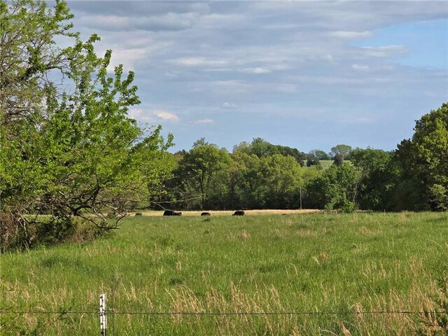 301 SE 611th Rd, Clinton, MO 64735 - photo 58