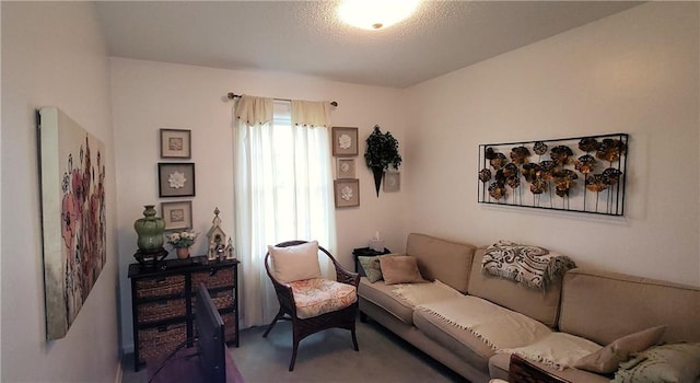 4006 W 63rd St, Prairie Village, KS 66208 - living room featuring carpet