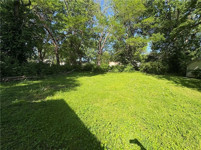 710 N Willis Ave, Independence, MO 64050 - view of grassy yard