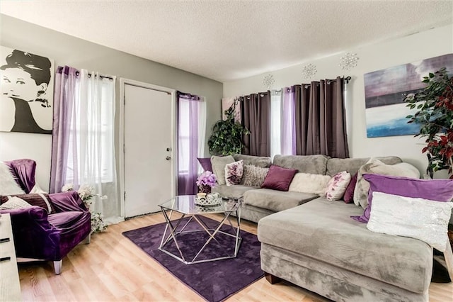 2713-2715 Benton Blvd, Kansas City, MO 64128 - living area featuring light wood-type flooring and a textured ceiling