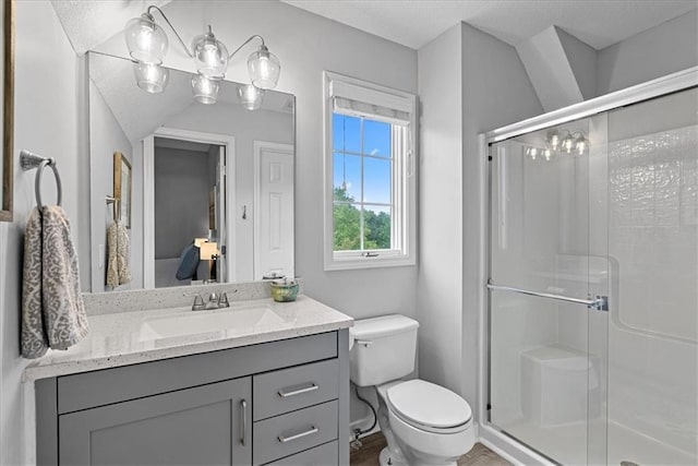 19600 W 98th St, Lenexa, KS 66220 - bathroom featuring toilet, a shower stall, vanity, and a textured ceiling