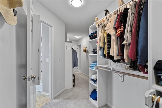 19600 W 98th St, Lenexa, KS 66220 - walk in closet with carpet flooring