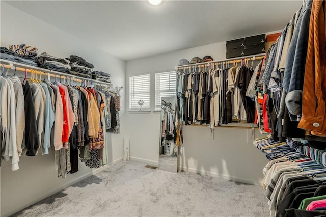 spacious closet with carpet flooring