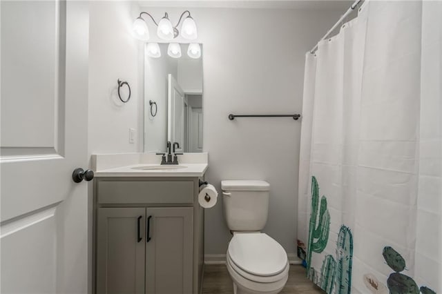 full bathroom featuring vanity, toilet, and a shower with curtain