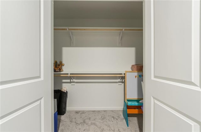 view of closet