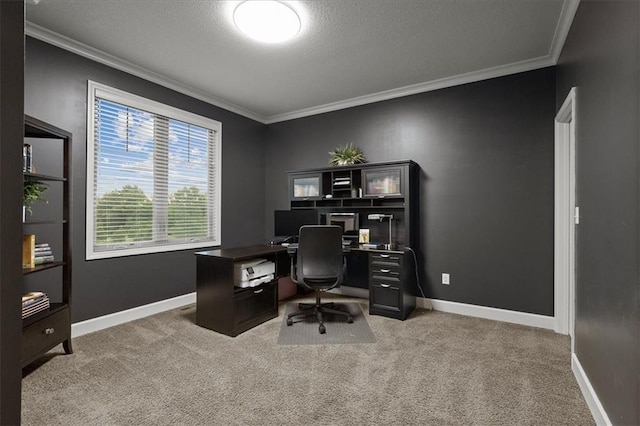 17817 Grandview St, Overland Park, KS 66013 - carpeted office featuring crown molding, baseboards, and a textured ceiling