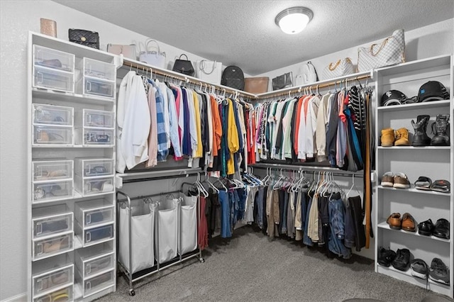 17817 Grandview St, Overland Park, KS 66013 - walk in closet featuring carpet flooring