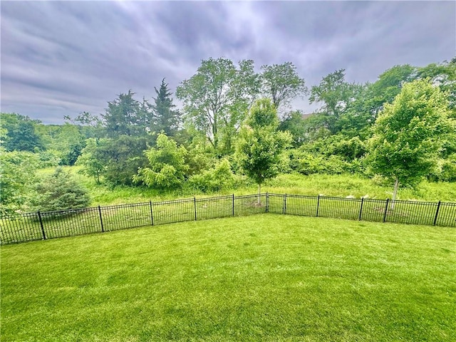 17817 Grandview St, Overland Park, KS 66013 - view of yard