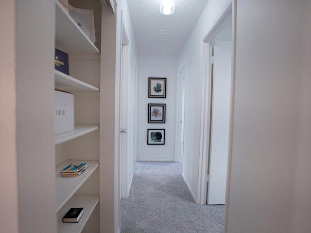 10921 Mckinley Dr, Kansas City, MO 64134 - corridor featuring carpet floors and a textured ceiling