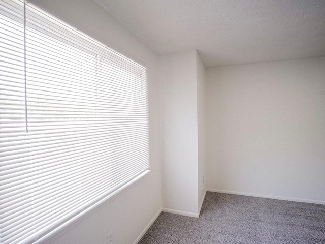 10921 Mckinley Dr, Kansas City, MO 64134 - carpeted spare room featuring baseboards