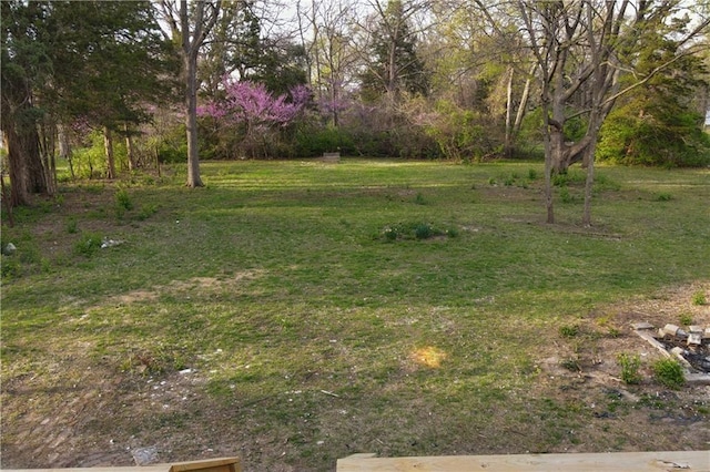 10514 E 35th St S, Independence, MO 64052 - view of yard