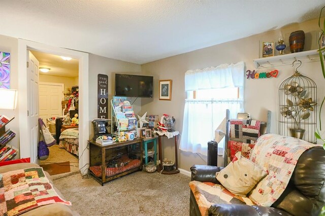 817 S Hardy Ave, Independence, MO 64053 - living room featuring carpet floors and baseboards
