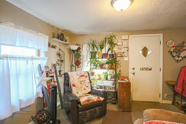 817 S Hardy Ave, Independence, MO 64053 - sitting room featuring a textured ceiling and carpet flooring