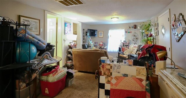 817 S Hardy Ave, Independence, MO 64053 - miscellaneous room with carpet floors and a textured ceiling