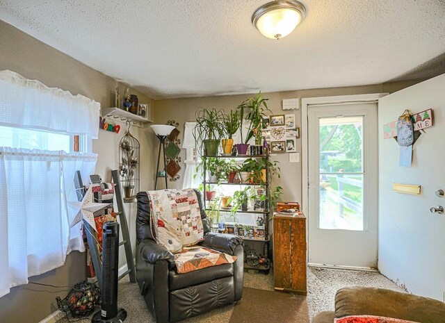 817 S Hardy Ave, Independence, MO 64053 - living area featuring a textured ceiling