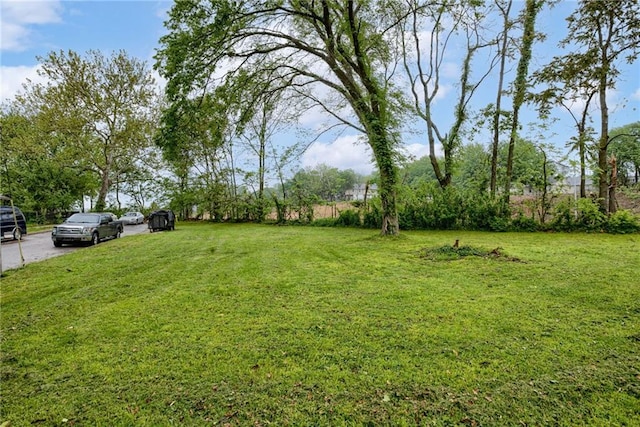 2529 Monroe Ave, Kansas City, MO 64127 - photo 24