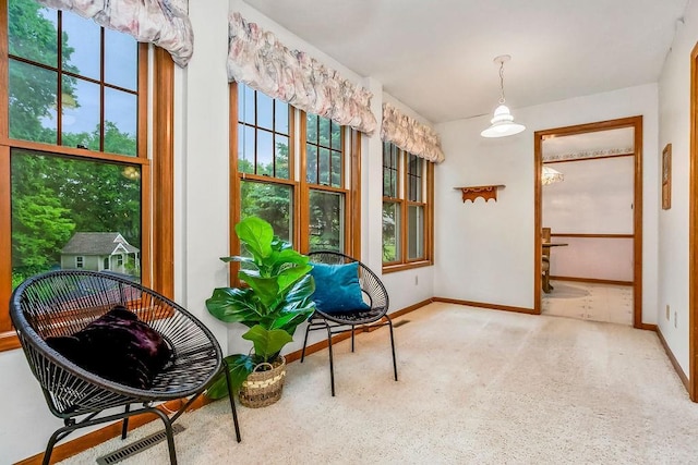 2820 S Victoria Ln, Blue Springs, MO 64015 - living area featuring plenty of natural light, baseboards, and carpet