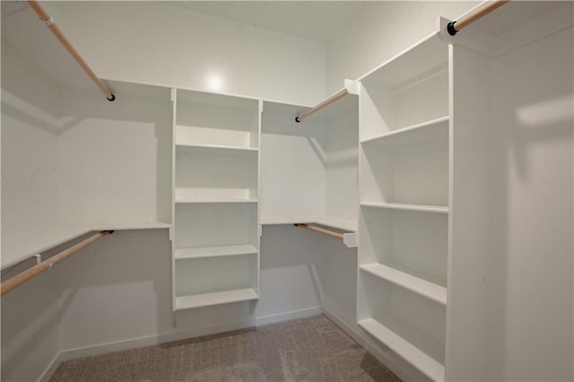 walk in closet with carpet floors