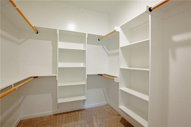 606 E 3rd St, Cameron, MO 64429 - walk in closet with carpet floors