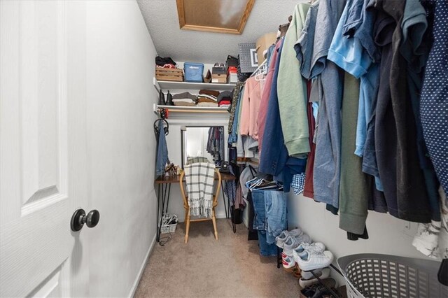 808 SE 19th St, Oak Grove, MO 64075 - walk in closet with attic access and carpet