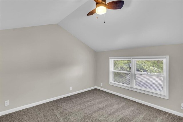 34 Agnes Ln, La Cygne, KS 66040 - photo 19