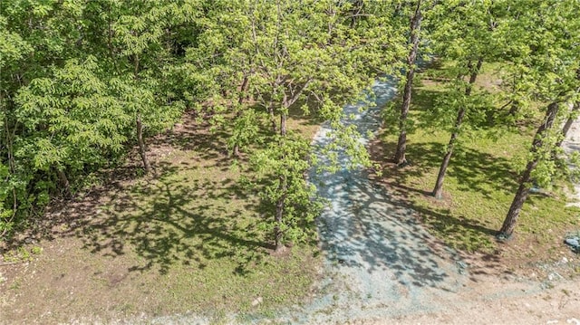 34 Agnes Ln, La Cygne, KS 66040 - photo 36