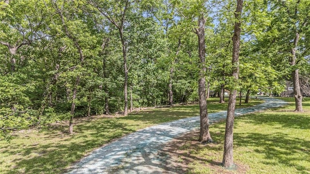 34 Agnes Ln, La Cygne, KS 66040 - photo 37