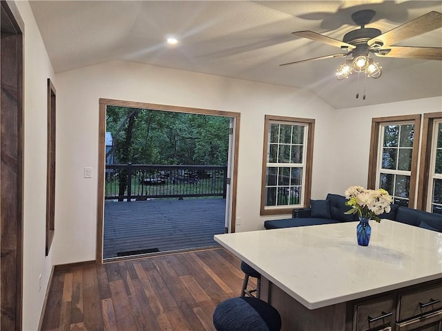 13 S Lakeside Cir, Linn Valley, KS 66040 - doorway with vaulted ceiling, dark wood finished floors, a ceiling fan, and baseboards