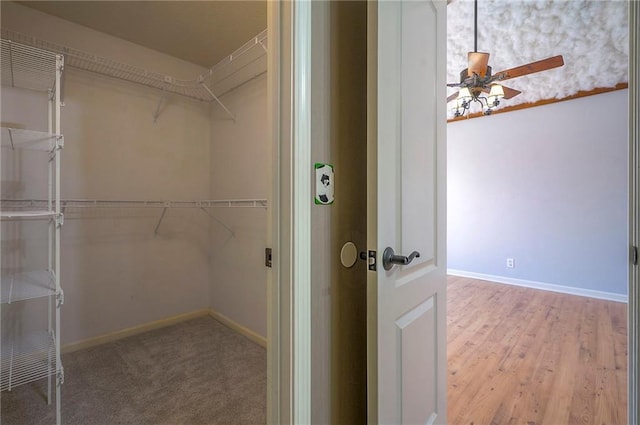 walk in closet featuring ceiling fan and wood finished floors