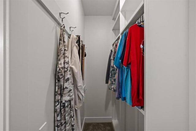 10523 N Dalton Ave, Kansas City, MO 64154 - view of spacious closet