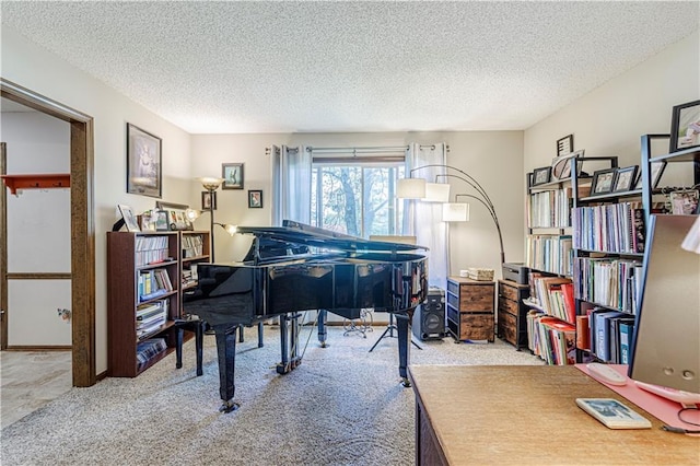 living area with carpet floors and a textured ceiling