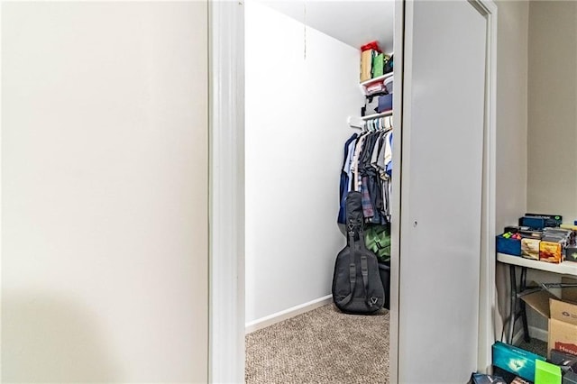 1007 Vest Dr, Warrensburg, MO 64093 - walk in closet featuring carpet flooring and attic access
