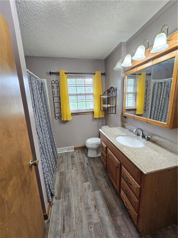 bathroom featuring wood finished floors, toilet, a textured ceiling, vanity, and baseboards