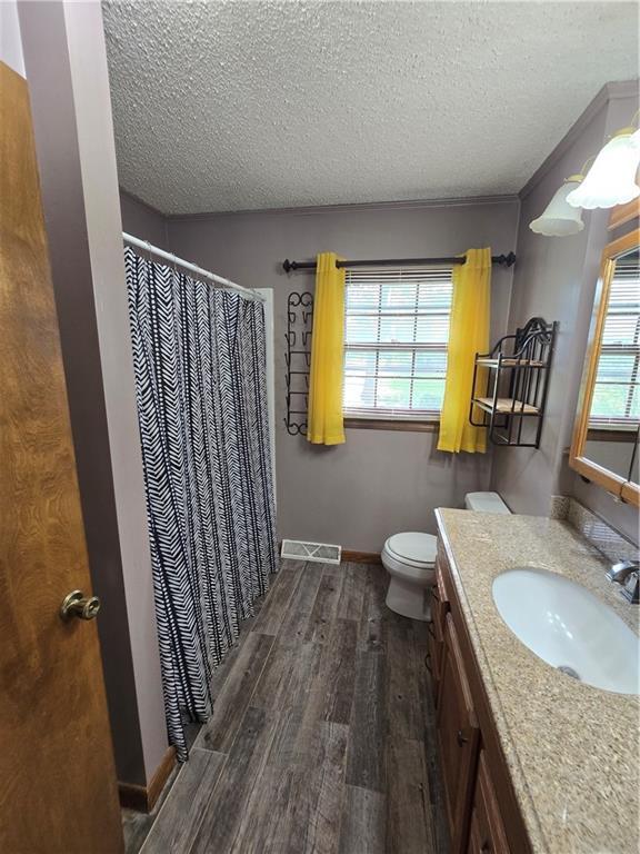 bathroom with wood finished floors, a textured ceiling, toilet, healthy amount of natural light, and vanity