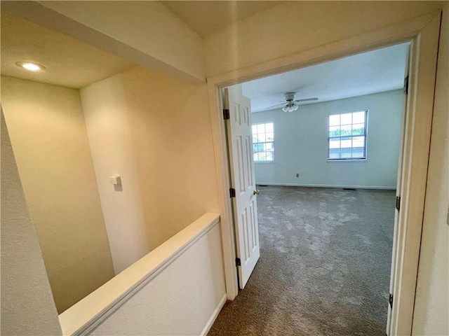 596 SE 105th Rd, Warrensburg, MO 64093 - corridor featuring carpet flooring and baseboards