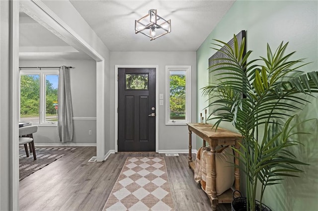 1036 NE Remington Ct, Lees Summit, MO 64086 - entryway with plenty of natural light, wood finished floors, and baseboards