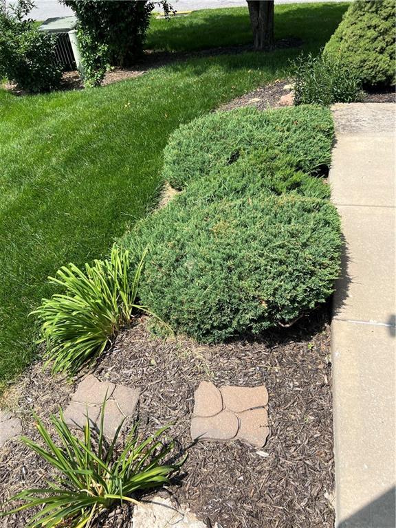 2017 S 137th St, Bonner Springs, KS 66012 - view of yard