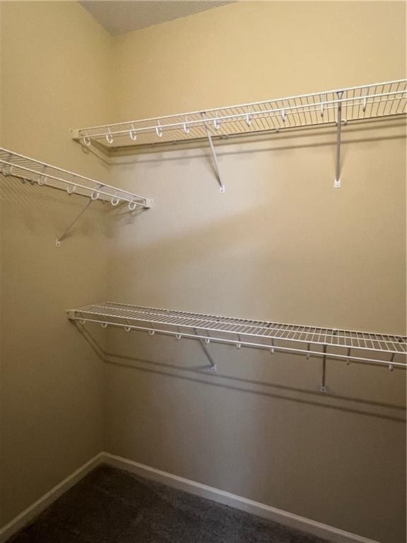 2017 S 137th St, Bonner Springs, KS 66012 - walk in closet with dark carpet