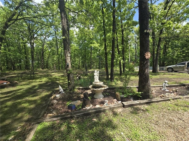 27349 Karrs Park Ave, Warsaw, MO 65355 - view of yard