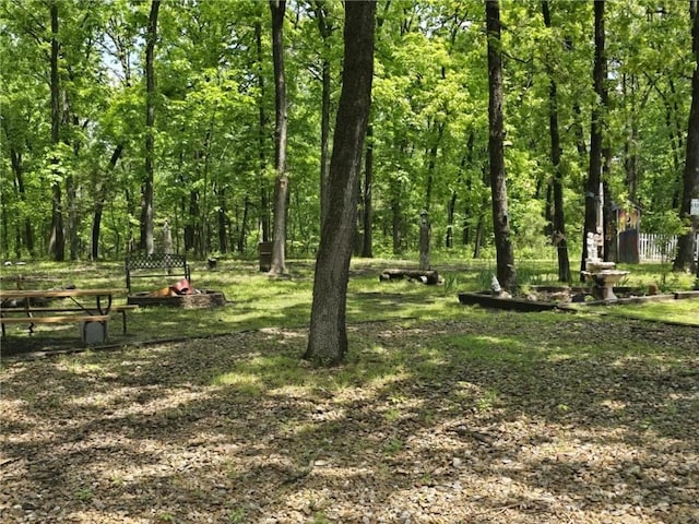 27349 Karrs Park Ave, Warsaw, MO 65355 - view of yard featuring fence