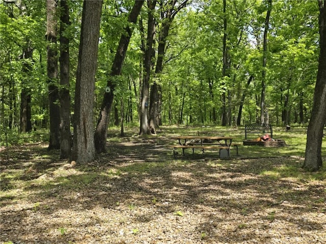27349 Karrs Park Ave, Warsaw, MO 65355 - view of tree filled area