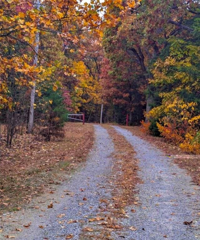 27349 Karrs Park Ave, Warsaw, MO 65355 - view of dirt / gravel road featuring a view of trees