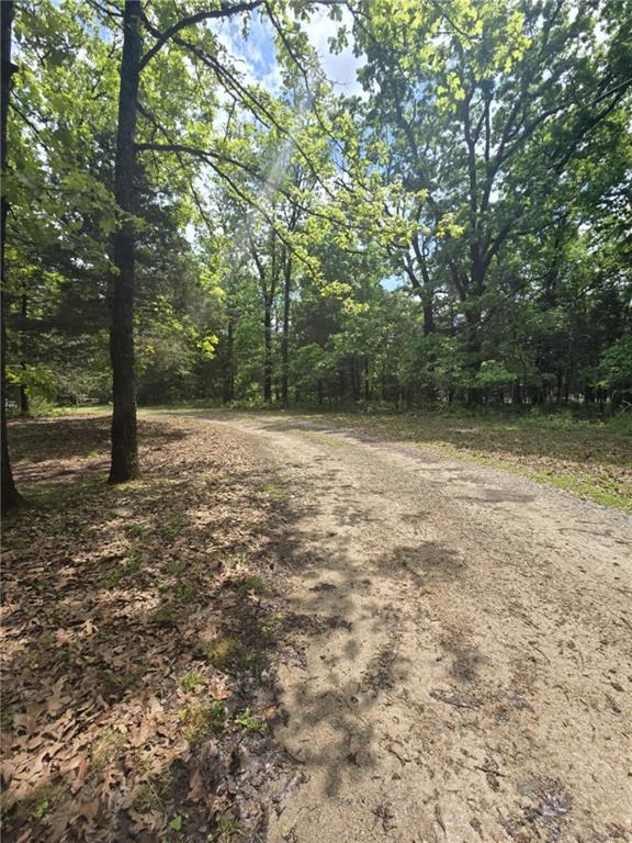 27349 Karrs Park Ave, Warsaw, MO 65355 - view of dirt / gravel road featuring a view of trees