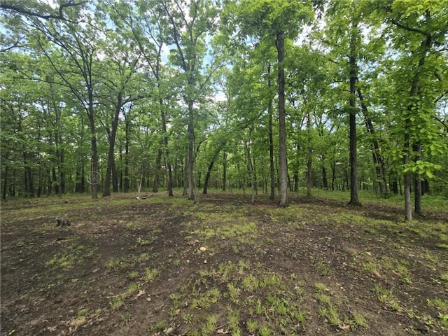 27349 Karrs Park Ave, Warsaw, MO 65355 - view of tree filled area