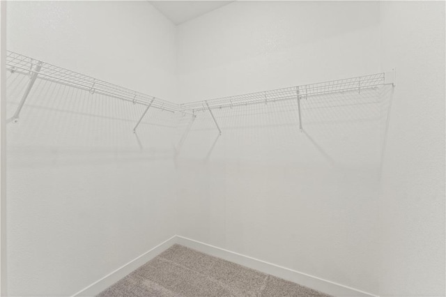 402 Woodview Dr, Raymore, MO 64083 - spacious closet featuring light carpet