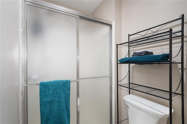 bathroom featuring toilet and a stall shower